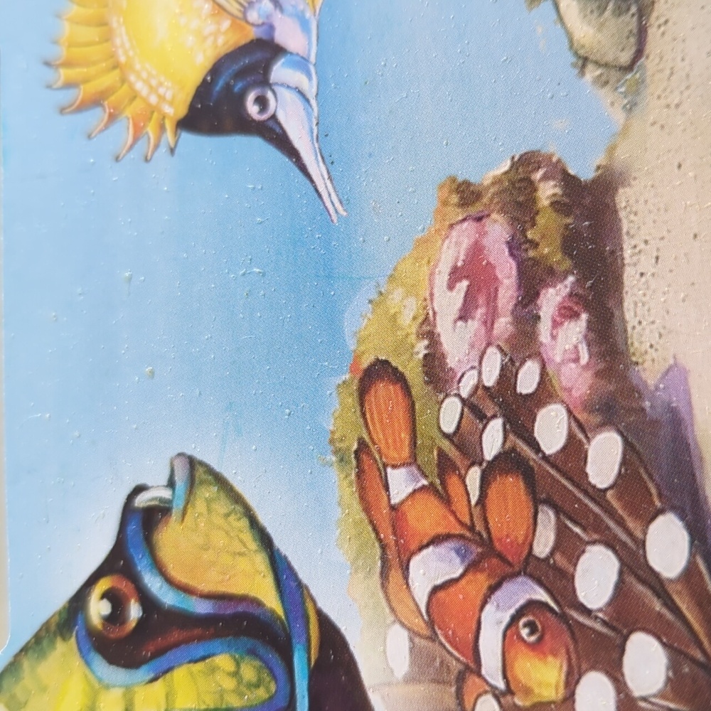 Tropical Colorful Fish Wooden Picture Frame - Picture 14 of 15
